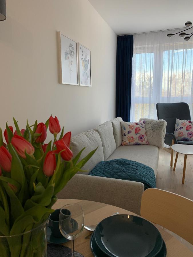 Apartamenty Bliska 33 别尔斯克-比亚拉 外观 照片